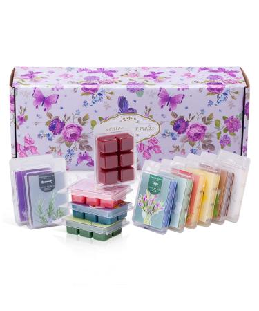 Scented Soy Wax Melts | Set of 12 Assorted 2.5oz Wax Cubes/Tarts | Home Fragrance for Candle Wax Warmer | Bulk Value
