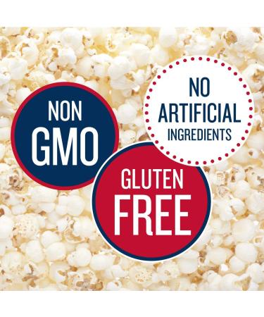 SkinnyPop Popcorn  Gluten Free  Non-GMO  Healthy Snacks  Easter Snacks  Skinny Pop Dairy Free White Cheddar Popcorn Snack Packs  0.65 Oz Individual Size Snack Bags (6 Count) 6 Count (Pack of 1) - Buy Online on GoSupps.com