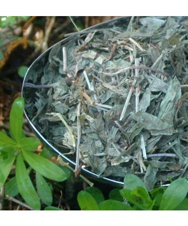 Krauterino24 Krauterino24 - Forest Cup - Master of the Forest Tea (1 kg)