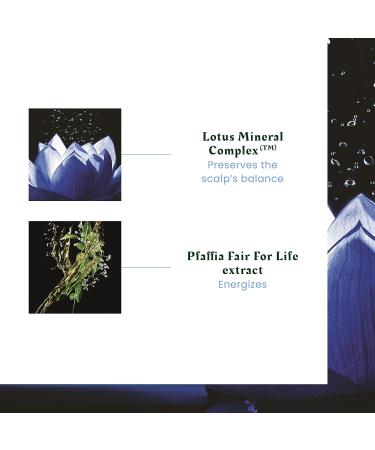 Ren Furterer - TRIPHASIC REACTIONAL - Reactive Serum Routine -12x5ml - Buy Online on GoSupps.com