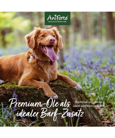 AniForte Barf Feed Oil for Dogs 250ml - Premium Cold-Pressed Omega 3 & 6 Oil | Natural Balanced BARF Supplement - Buy Online on GoSupps.com