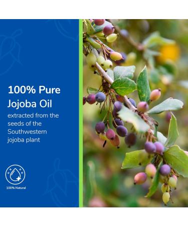Earth s Care 100% Pure Jojoba Oil - Cold Pressed Natural Moisturizer for Hair Skin & Nails - 8 FL OZ | Shop Internationally - Buy Online on GoSupps.com