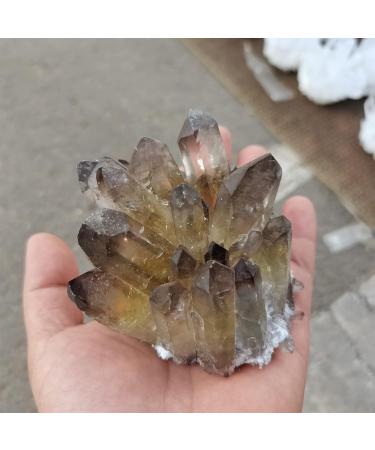 for Natural Smokey Quartz Tea Crystal Cluster Stones Crystal Point Specimen Home Decoration Raw Crystals Gemstones and Crystal dingchi FUZEGRDLI (Size : 300-400g) - Buy Online on GoSupps.com