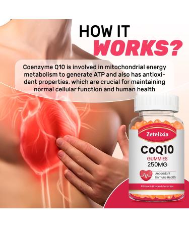 2 Pack CoQ10 Gummies, 5X Better Absorption Coenzyme Q10 for Cellular Energy and Antioxidant Support, 120 Peach Gummies 60 Count (Pack of 2) - Buy Online on GoSupps.com