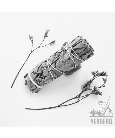 Dragon's Blood Sage Smudging Kit - Pack of 3 Hand-Tied Bundles for Home Cleansing and Meditation - Buy Online on GoSupps.com