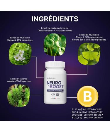 Neuro Boost by Nutrisolution - Cognitive Boost & Energy B Vitamins Ginkgo Biloba Bacopa Alpha Lipoic Acid Vegan Made in France (3) - Buy Online on GoSupps.com