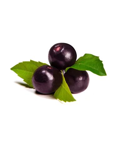 Food-United Ponthier Acai Puree 1kg - Superfood for Smoothie Bowls Sorbet & More - Buy Online on GoSupps.com