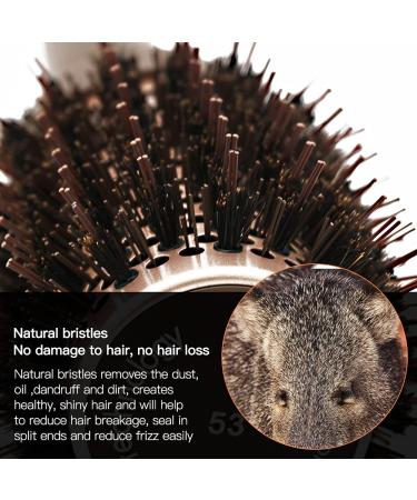 Ceramic Ion Thermal Barrel Round Brush Set - 4 Sizes Boar Bristle for Blow Drying, Styling, Curling - Brown Handle - Buy Online on GoSupps.com