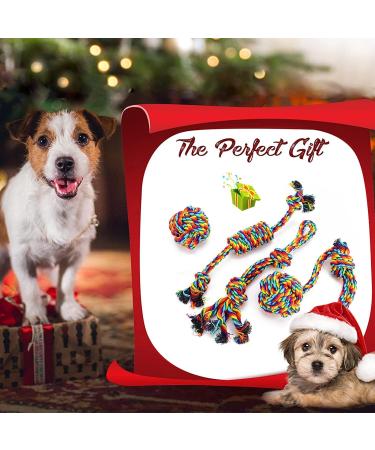 VIEWLON Dog Rope Toy Set - Interactive Chew Toys for Small/Medium Dogs - Mental Health Benefits - Teeth Cleaning - 4 Pcs Mixed-color - Buy Online on GoSupps.com