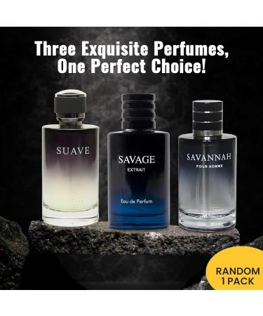Men's Cologne Savage Set Wonderful Multi Scent Eau de Toilette Natural Spray Men's Perfume For all Day Used 100ML Each Bottle(3PCS) Savage 3.4 Fl Oz (Pack of 3) - Buy Online on GoSupps.com