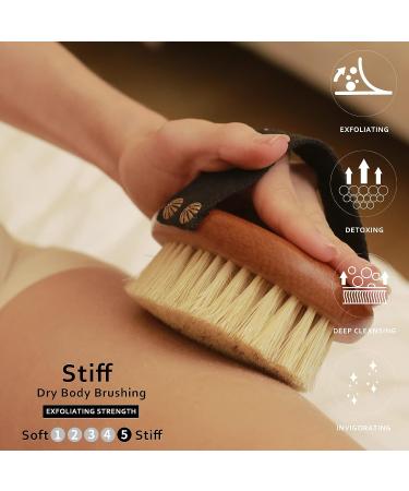 ICANdOIT High Strength Dry Body Brush - Natural Bristle Exfoliating Massage Brush for Cellulite, Lymphatic Drainage, and Soft Skin - Stiff Tampico Fiber for Improved Circulation and Ingrown Hair Prevention - Buy Online on GoSupps.com