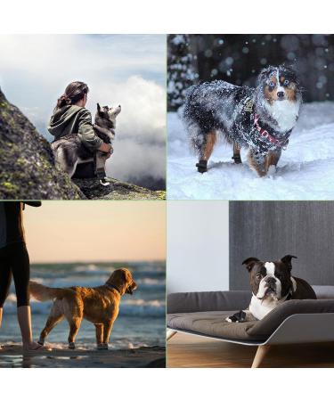 Waterproof Dog Shoes for Medium & Large Dogs - 4 Pack Paw Protection with Non-Slip Sole & Adjustable Reflective Velcro - Breathable Outdoor Gear (Black) - Buy Online on GoSupps.com
