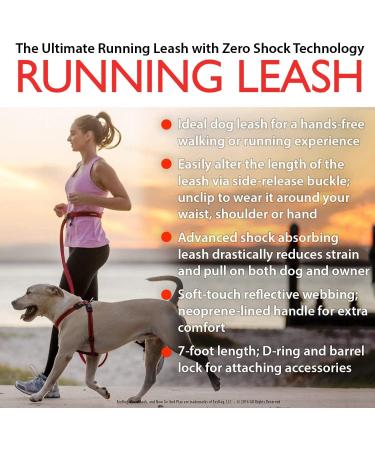 Ezydog Jogging Leash for Small & Medium Dogs - Reflective & Elastic Bungee - 210cm Red | Perfect Running Gear for Dog Owners - Buy Online on GoSupps.com