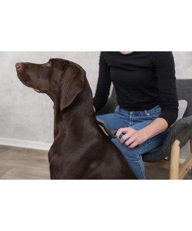 Trixie 24131 Soft Brush - 7x16 cm Plastic Pet Grooming Tool for All Breeds | International Shipping - Buy Online on GoSupps.com