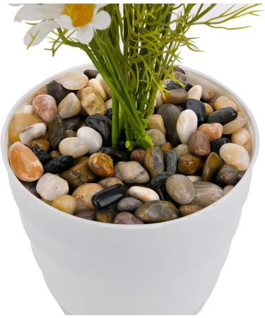 Hisredsun 2.1 lb Natural Polished Pebbles - 0.4-1 inch Decorative Stones for Garden, Aquarium and Vase Fillers - 0.95kg Multi-Use River Rocks - Buy Online on GoSupps.com