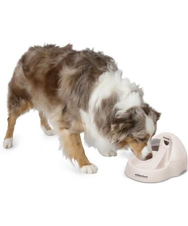 Petmate Fresh Flow Deluxe Replacement Pump 120V - Easy Install with AC Adapter and Cord (29027) - Buy Online on GoSupps.com