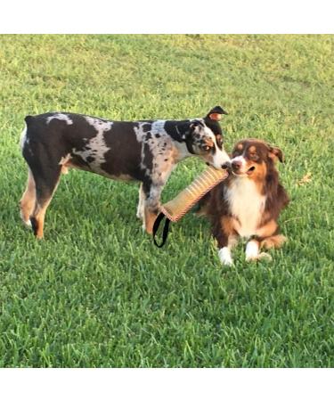 Durable Dog Tug Toy with 2 Handles - Best for Tug of War & Training - Medium to Large Dogs - Style 1 - Buy Online on GoSupps.com