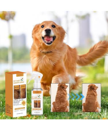  Naqqios Detangling Spray for Pets 100ml Leave-In Formula No Tangle Formula Gentle Care Gel for Dogs and Cats Softening Coat Treatment Daily Care Solution - Buy Online on GoSupps.com