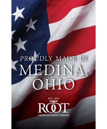 Root Candles Fall Scented Travel Tin - 24-Hour Honeycomb Beeswax Heirloom Pumpkin Candle 4-Ounce | Shop Internationally - Buy Online on GoSupps.com