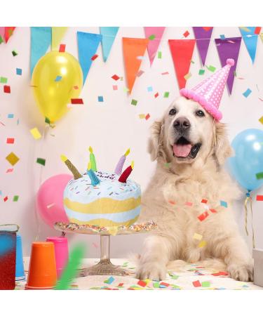 Sumind Dog Birthday Toys - Soft Plush Birthday Cake & Squeaky Dog Toys for Large Dogs | 7.3 Inches - Buy Online on GoSupps.com