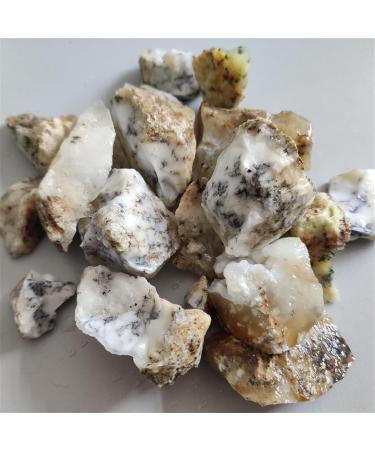 Natural Crystal Rough 100g Natural Flower Grass Opal Specimens Home Decoration Stone Opal Natural Stone Raw Random size Random Color - Buy Online on GoSupps.com