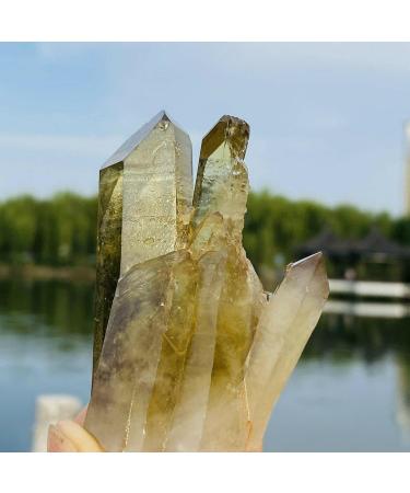 100G Natural Citrine Cluster Specimen Quartz Crystal Suitable for Home ERTEYIN - Buy Online on GoSupps.com