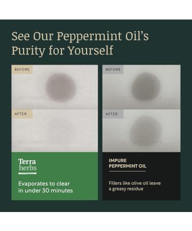 Peppermint Oil - 100% Pure Peppermint Oil - Australian Black Mitcham Peppermint Essential Oil 2X More Refreshing Mentha Piperita - Optimal 55% Menthol Aromatherapy Essential Oils - Buy Online on GoSupps.com