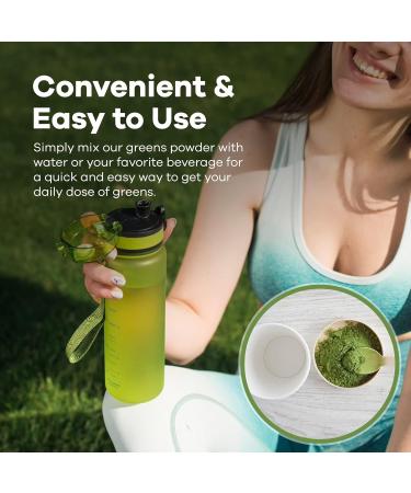 Red's Kitchen Sink Power Greens Powder - Daily Greens Superfood Powder - Fruity Veggie & Green Leafy Smoothie Drink Mix - Superfoods Maca Root Spirulina Chlorella & More (200 Grams) - Buy Online on GoSupps.com