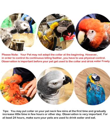 Bonaweite Pet Parrot Anti-Bite Collar for Macaw, African Budgies, Parakeet - Protective Healing Neck Cover - Buy Online on GoSupps.com
