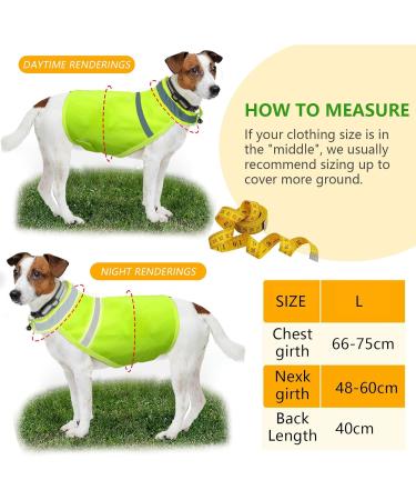 LOOPES Hi-Vis Dog Coat 2Pcs Dog Training Vest With Reflective Dog Collar Safety Reactive Dog Warning Jacket Vest From Cars&Hunting Accidents Nervous Dog Harness for Outdoor Activity Day&Night(L) - Buy Online on GoSupps.com