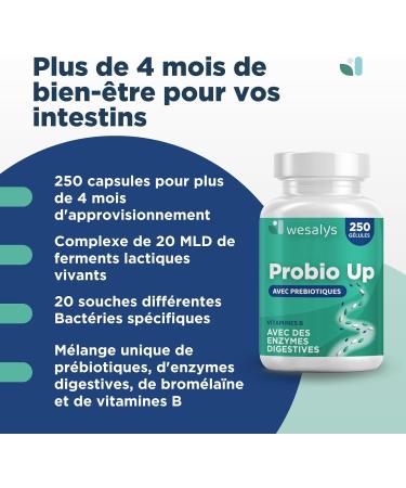 Probiotique flore intestinale - 250 g lules - 20 souches bact riennes Probiotiques et prebiotique lactobacillus gasseri Bifidobact ries Enzymes digestives Inuline FOS 20 milliards UFC - Buy Online on GoSupps.com