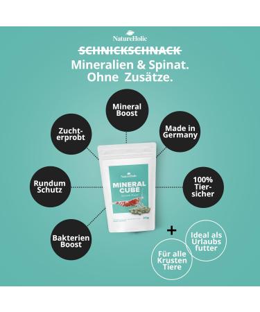 NatureHolic - MineralCube Spinat Power I for mineral intake I with valuable spinach I No water pollution I Ideal food for holidays I 47ml - Buy Online on GoSupps.com