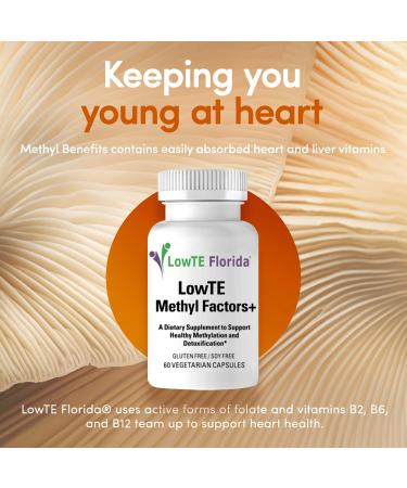 LowTE Florida Methyl Factors + - 60 Capsules I B Vitamins Folate & Riboflavin for Normal Heart Liver & Brain Function* Energizing & Mood Boosting Supplement - Buy Online on GoSupps.com