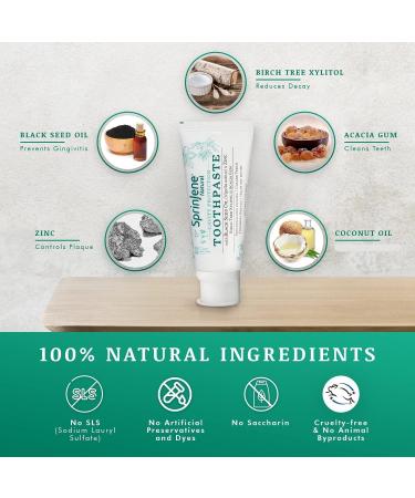 Buy SprinJene Natural SLS Free Toothpaste with Fluoride - Cavity Protection Gum Health & Fresh Breath - Toxic & Preservative Free - Pack of 2 (3.5 oz - Buy Online on GoSupps.com