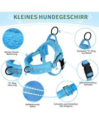 Eyin No-Pull Dog Harness with Leash & Soft Padded Reflective Adjustable Vest for Puppies Small & Large Dogs - Light Blue XS - Buy Online on GoSupps.com