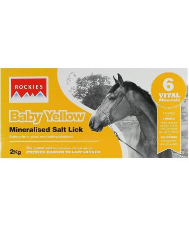 Baby Rockie Salt Lick 2k Red - Buy Online on GoSupps.com