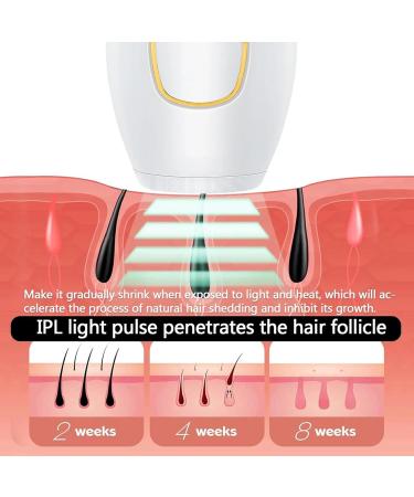  pilateurs pilation au Laser pour Hommes Corps Intime d finitif Sourcils Visage Professionnel lectrique pilation Intime Femme Lumi re puls e IPL Portable Lady Electric Smart Home Pink - Buy Online on GoSupps.com