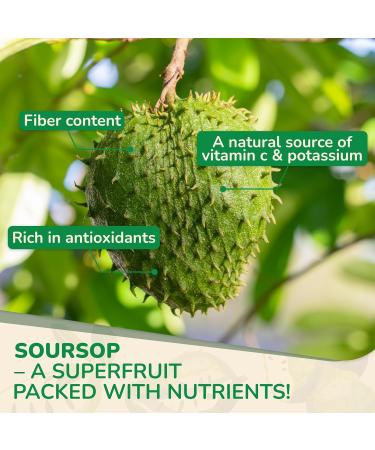 Biolore Pure Sea Moss Gel + Soursop Gummies Bundle | 16 oz Gel & 60 Gummies | Elderberry + Soursop | No Added Sugar Gluten Free Vegan Made in USA - Buy Online on GoSupps.com