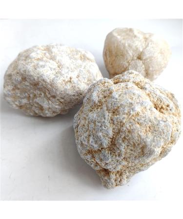 Natural Crystal Rough 1pcs Agate Irregular Geode Agate Crystals Complete Hollow Stone Specimen White Crystal Cavity Fun Cutting Stone Crafts (Color : 4-6cm) - Buy Online on GoSupps.com