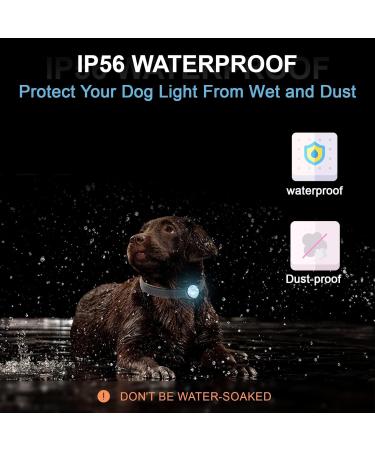 Umione Pet Light - Waterproof & Durable Dog Light for Night Walks | Gift Packaging (Umione-White-02) - Buy Online on GoSupps.com