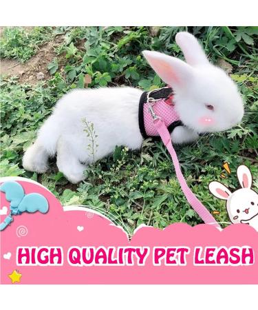 Adjustable Rabbit Dishes - 2 Pack with Leash for Small Animals & Kittens | Best Pet Supplies for Rabbits - Buy Online on GoSupps.com