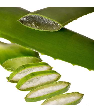 Aloe Vera Gel 98% - 2x200ml Pure Skin Gel | Dr. KIM BEISEL German Aloe Vera Center - International Shipping Available - Buy Online on GoSupps.com