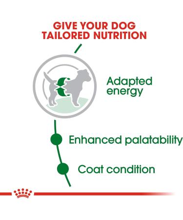 Royal Canin Dog Food Mini Adult 2 kg Chicken 2 kg (Pack of 1) - Buy Online on GoSupps.com