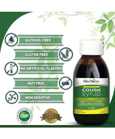 Herbion Naturals Sugar-Free Cough Syrup with Stevia - 5.0 Fl Oz - Green Formula - Buy Online on GoSupps.com