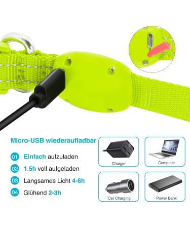 KOSKILL LED Dog Collar - Waterproof & Adjustable USB Rechargeable Bright Green for Small Dogs - Safe & Reflective Design - Buy Online on GoSupps.com