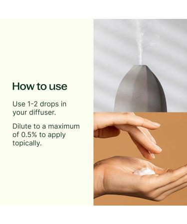 Buy Organic Clove Bud Essential Oil - 100% Pure USDA Certified Therapeutic Grade | Plant Therapy 30 mL (1 oz) - International Shipping Available - Buy Online on GoSupps.com