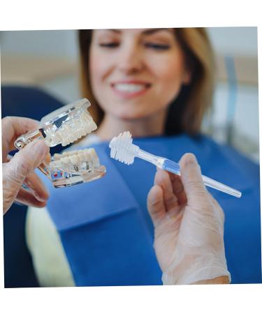 Buy Gleavi 15 StK Prosthesis Cleaning Brush - Double-Sided Toothbrush for False Teeth Care Tools | International Shipping Available - Buy Online on GoSupps.com