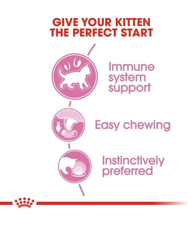Royal Canin Kitten in Jelly Cat Food (12 x 85g) - Buy Online on GoSupps.com