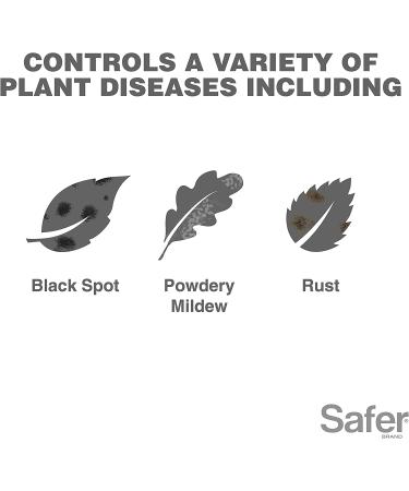 Safer Brand Neem Oil Concentrate Insecticide Miticide Fungicide for Plants | Organic OMRI Listed Solution for Insects, Mites, and Fungal Disease - Buy Online on GoSupps.com
