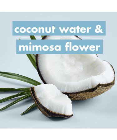 Love Beauty and Planet Volume and Bounty Thickening Shampoo and Conditioner For Hair Volume and Fine Hair Care Coconut Water & Mimosa Flower  Paraben Free  Silicone Free  and Vegan 13.5 oz 2 count Coconut 13.5 Ounce (Pack  - Buy Online on GoSupps.com